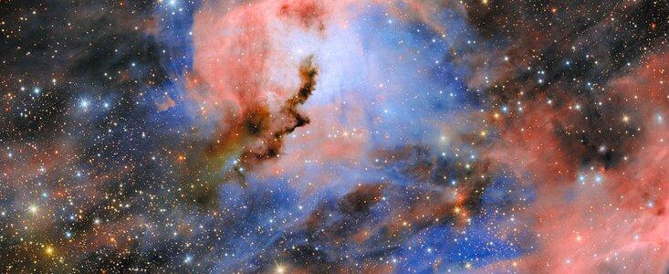 Seagull Nebula captured by NSF–DOE Vera C. Rubin Observatory ComCam