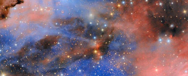 Stepping into the Seagull Nebula