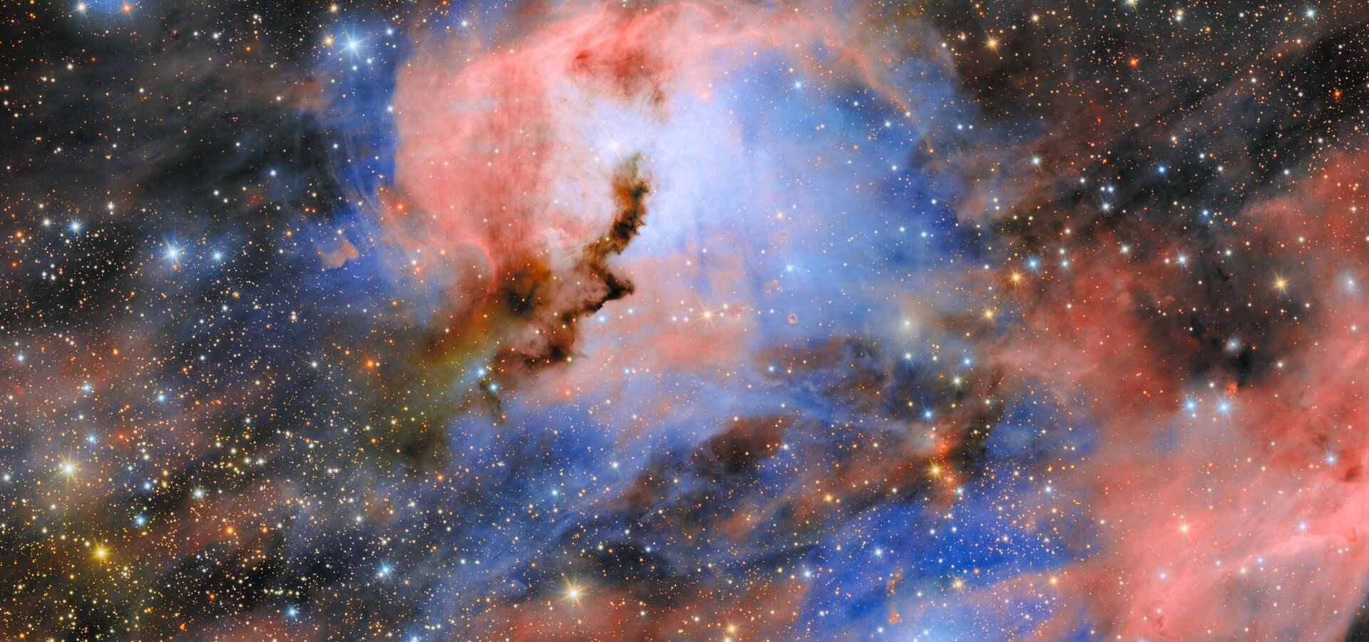 Seagull Nebula captured by NSF–DOE Vera C. Rubin Observatory ComCam